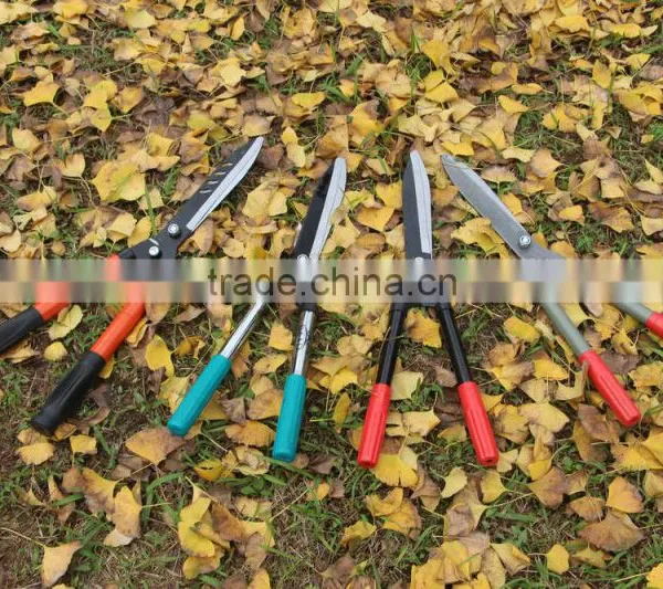 Electrophoresis Garden High Carbon Steel Hedge Shear photo-4