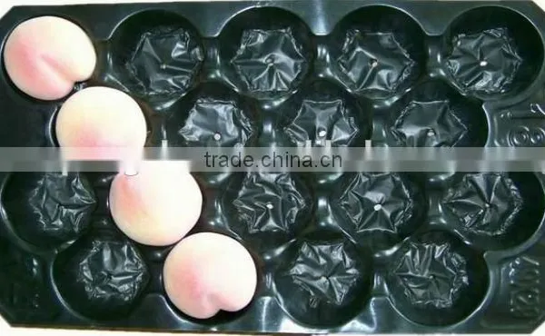 China Gold Supplier FDA/SGS Approved High Quality Supermarket Display PP Apple Packing Tray photo-2