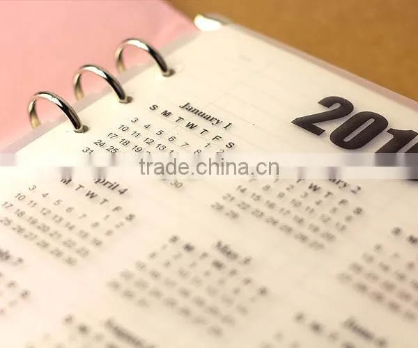 A5/A6 Timetable Board for Planner Transparent PP Spacer for Notebook Customizable Elastic Board photo-3