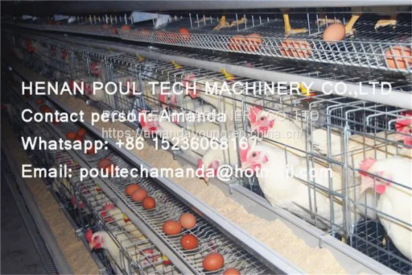 Philippines Chicken Farm Hot Galvanized Cage for Layer & A Frame Battery Hen Cage & Chicken Coop for Poultry Farm photo-2