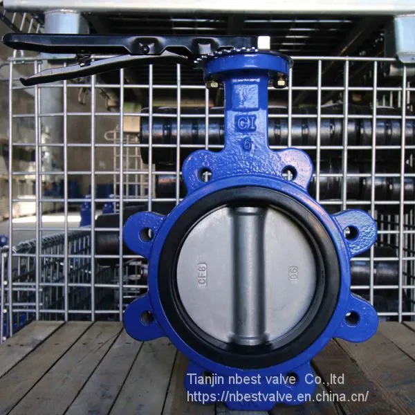 JIS5K/10K Lug Butterlfy Valve DN100 With Lever photo-3