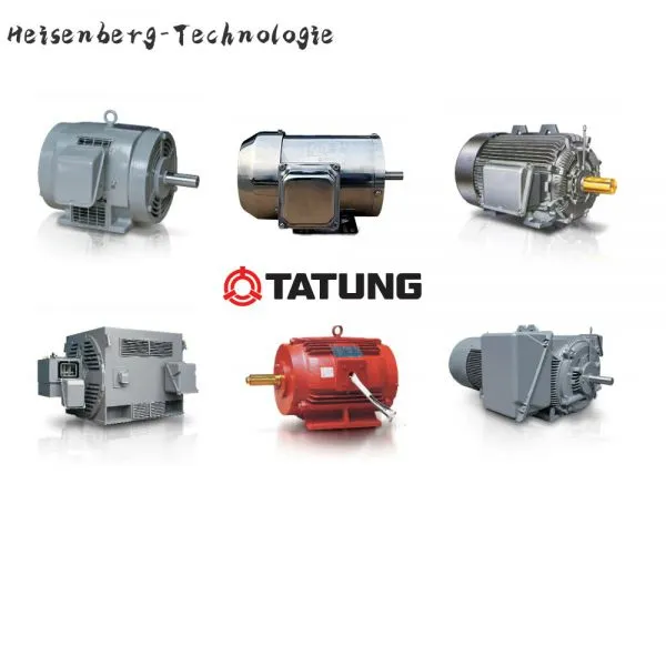 Tatung KTE2 (128B） High Efficiency Three Phase Induction Motors photo-2