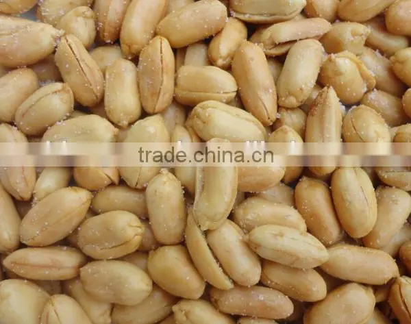 Roasted and Salted Peanut