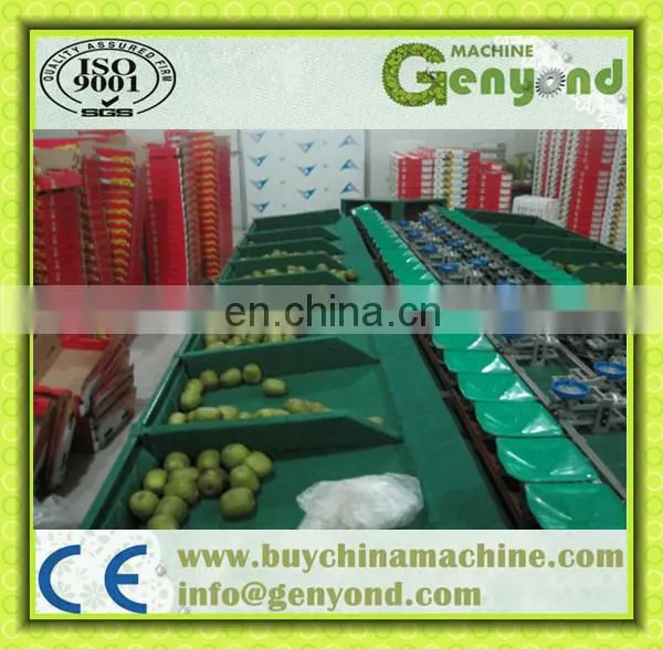 Kiwi Sorting Machine Potato Sorting Machine Potato Grader photo-2