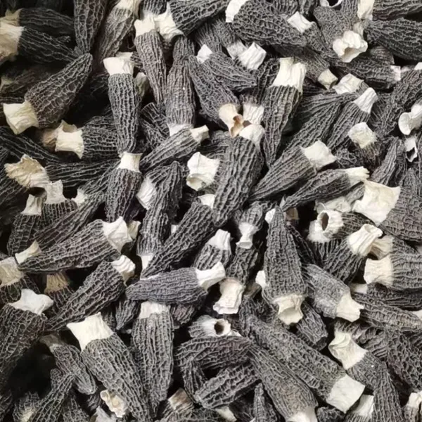 Dried Mushroom ,fungus and Agricultural Products photo-2