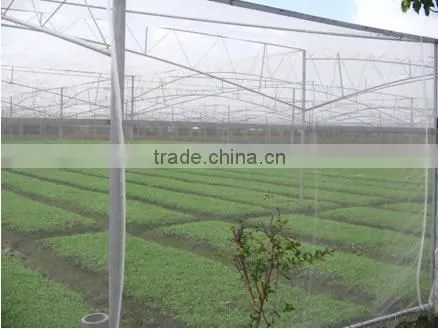 High Quality Greenhouse Anti Insect Mesh Netting photo-6