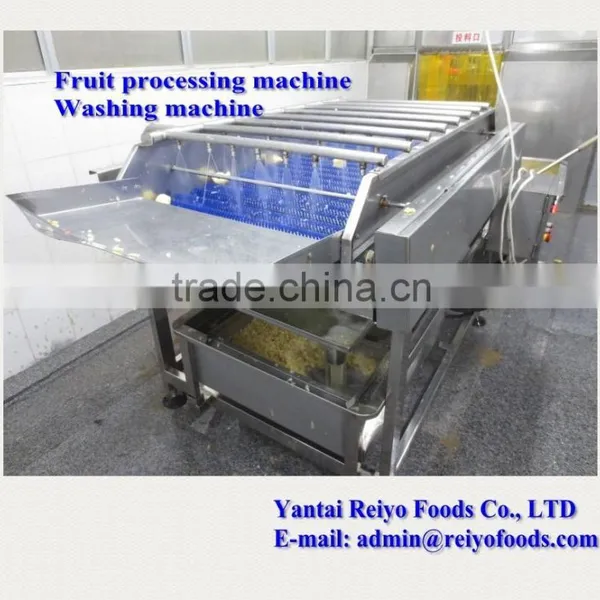 Fruits and Vegetable Washing Machine / Impurity Removing and Cleaning Machine photo-3