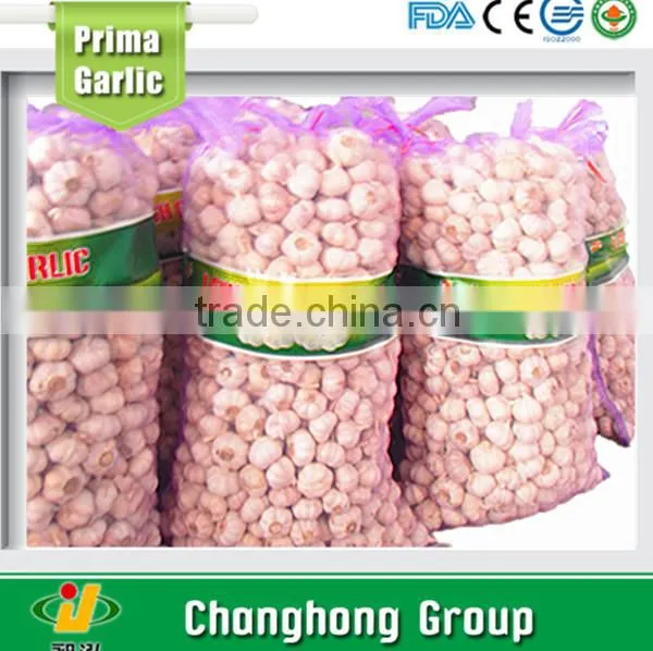 Hot Sale 2015 Normal White Garlic photo-3