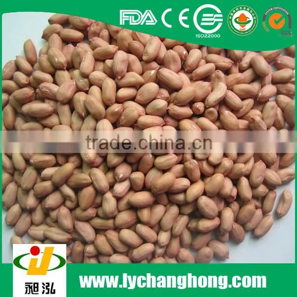2015 New Crop Peanut/ Peanut Kernels photo-2