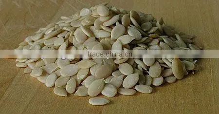 Hulled WaterMelon Seeds photo-5