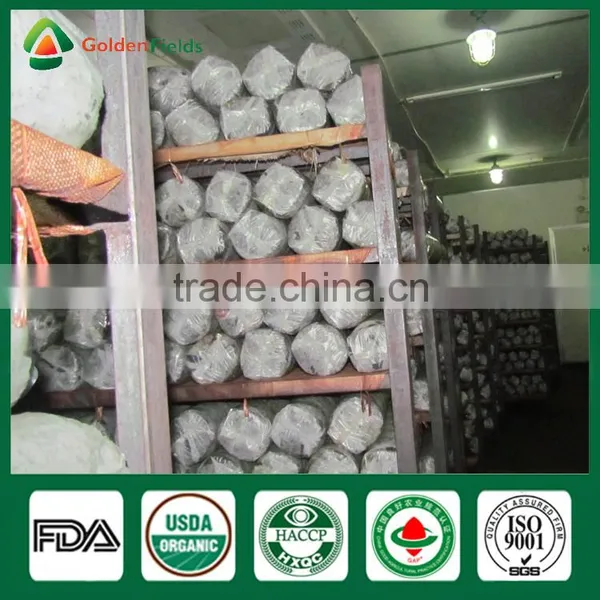 Mushroom Spawn for Sale,Shiitake Mushroom Spawn Wholesale Supplier photo-4