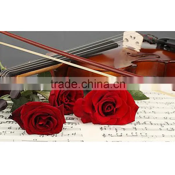 1/2 Arbor Violin Bow Fiddle Bow Horsehair Exquisite photo-6