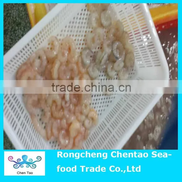 Frozen Red Shrimp Meat photo-4