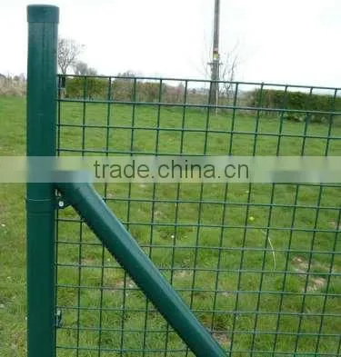 Pvc Coated Galvanized Welded Dog Fence photo-6