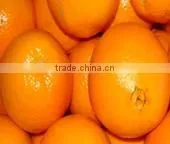 Fresh Orange photo-2