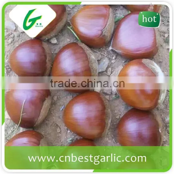 Price Chinese Raw Wholesale Frozen Chestnuts photo-3