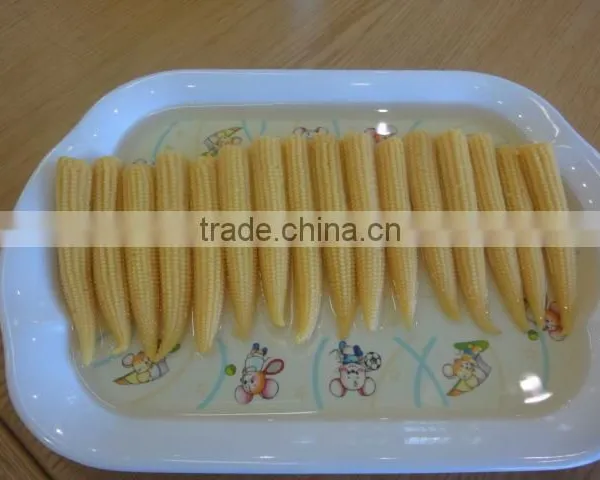 Canned Baby Corn in Brine