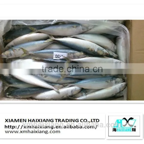 Frozen Mackerel Prices photo-5