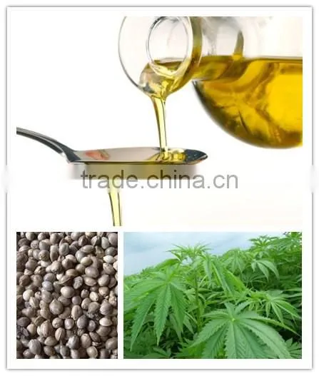 High Quality Organic Refined Hemp Seed Oil Wholesales Factory Price photo-5