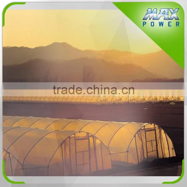 Hot Sale Greenhouse Farming Equipment photo-2
