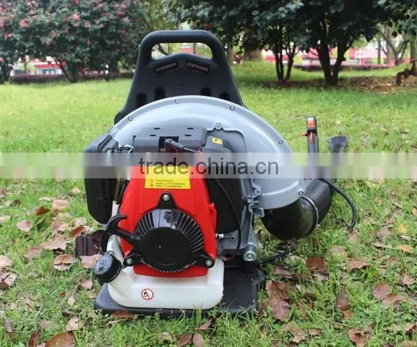 the Best Leaf Blower /snow Blower for Leaves photo-4