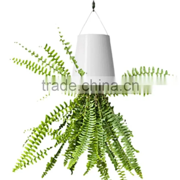 Magic Sky Planter Plastic Flower Pot Hanging Planter Plastic Flower Pot Supplier From China photo-2