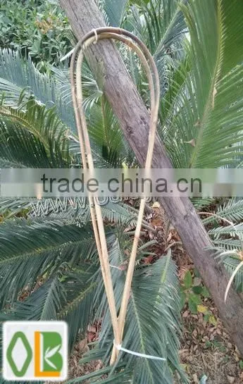 U-shape Bamboo Hoops for Planters photo-2