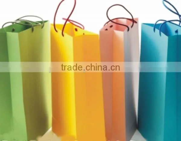 Offset Printed Paper Shopping Bags photo-2