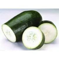 Winter Melon