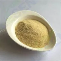 Ceramide
