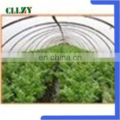 China Factory Pla Biodegradable Material for Good Using photo-6