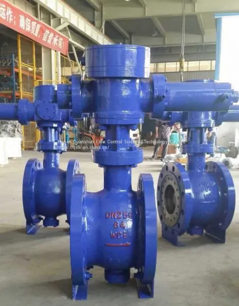 Eccentric Semi-ball Valve photo-2