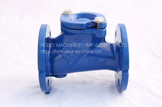 Cast Iron Check Valve
