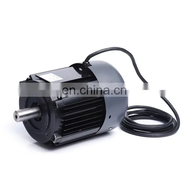 120w 12v dc Air Cooler Motor dc Motor Bldc Motor With Controller photo-2