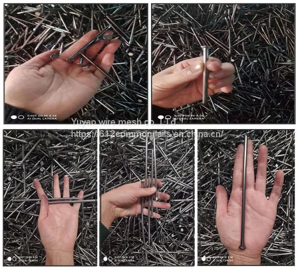 2 Inch 3 Inch Common Wire Nails/High Quality Iron Nails photo-5