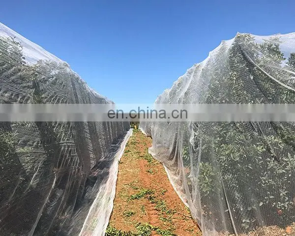 New Hdpe Cheap PE Anti-hail Net Agriculture Mesh Net Plant Bee Netting photo-4