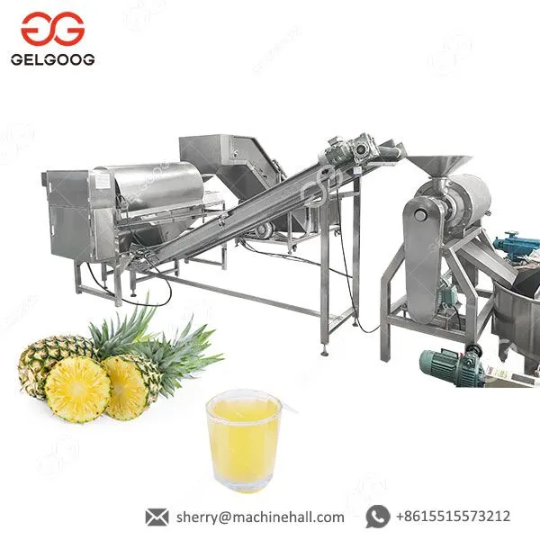 New Mango Juice Processing Machine for Beverage Production Food and Manufacturing Plants