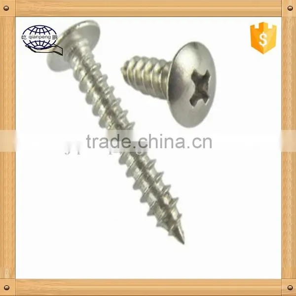 Customized Stainless Steel Self Tapping Screw,self Tapping Screw photo-3