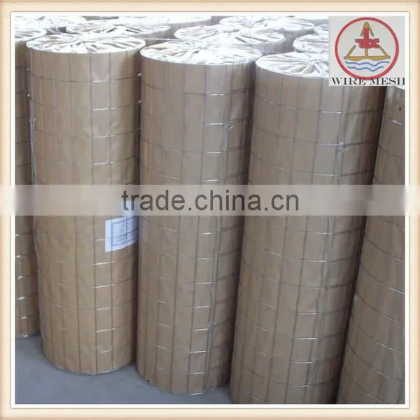 Galvanized Welded Wire Mesh for Turkey Market photo-3