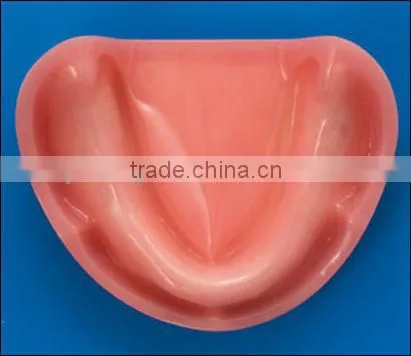 Model Implant Mandible for Practicing Implant photo-2