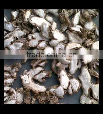Lesser Galanga/ Kaempferia Galanga/ Sand Ginger photo-3