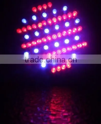 Lowest Price and High Quality 86pcs 10mm RGB Mini LED Color Changing Flash Remote Control Kit Light photo-3