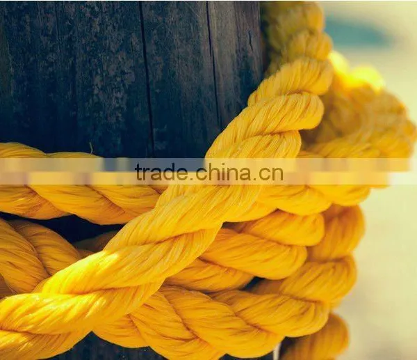 PP Rope,Poly Rope,PP Danline Rope,Silver Rope photo-1