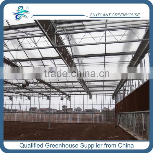 High Quality Glass Greenhouse for Vegetable Quality Choice photo-5