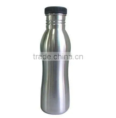Stainless Steel Sports Bottle