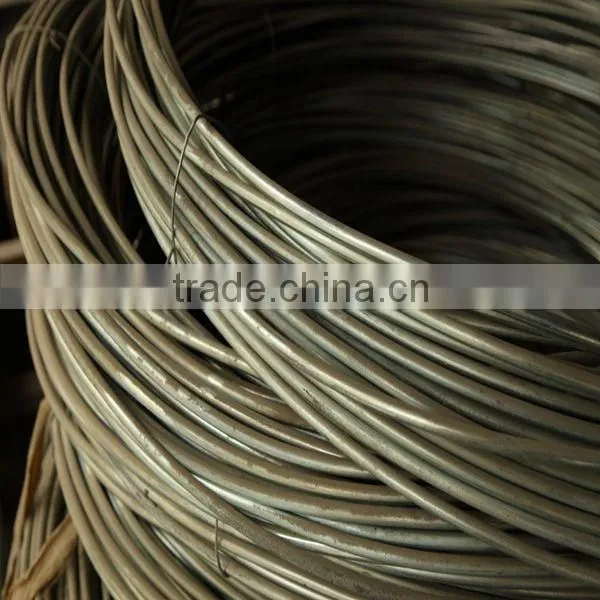 Canbon Steel Wire Rod photo-6