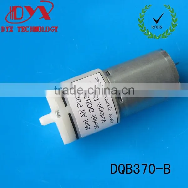 Micro dc Blood Pressure Pump /mini Air Pump/medical Pump
