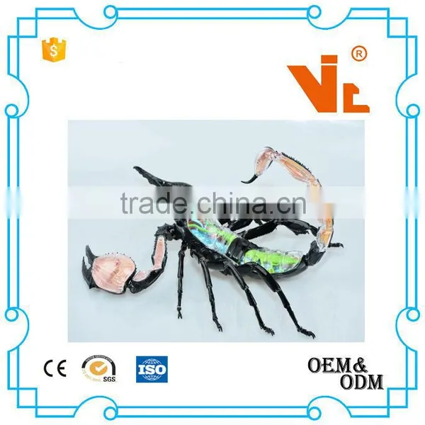 V-AM050 4D MASTER Scorpion Specimen Anatomical Model for Teaching photo-2