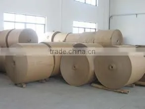 High Quality 2015 Cheap Single pe Coated Paper Roll photo-3