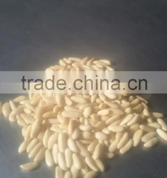 PINE NUT KERNEL